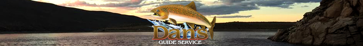 Dan's Guide Service